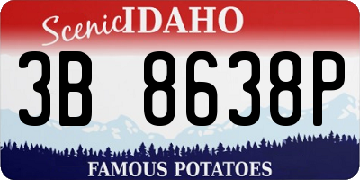 ID license plate 3B8638P