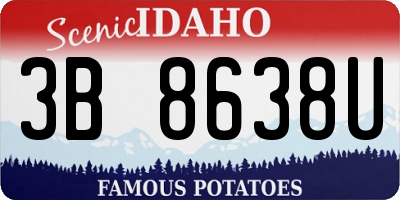 ID license plate 3B8638U