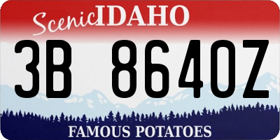 ID license plate 3B8640Z