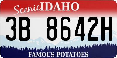 ID license plate 3B8642H