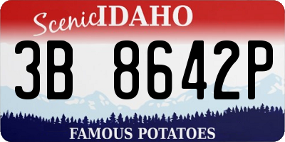 ID license plate 3B8642P