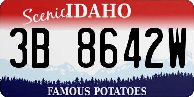 ID license plate 3B8642W