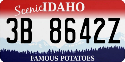 ID license plate 3B8642Z
