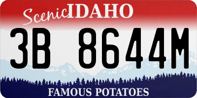 ID license plate 3B8644M