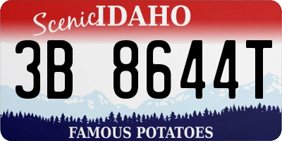 ID license plate 3B8644T