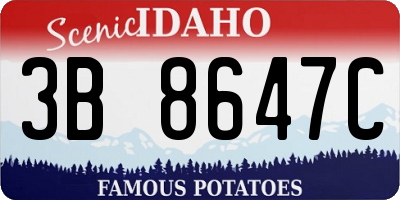ID license plate 3B8647C