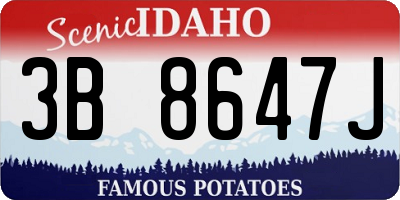 ID license plate 3B8647J