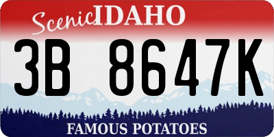 ID license plate 3B8647K