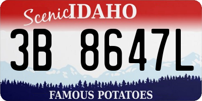 ID license plate 3B8647L