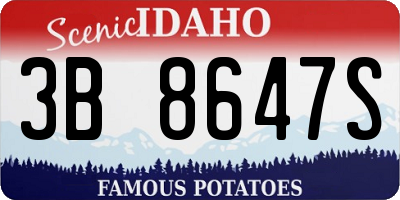 ID license plate 3B8647S