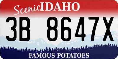 ID license plate 3B8647X