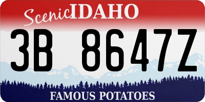 ID license plate 3B8647Z