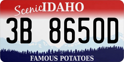 ID license plate 3B8650D