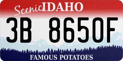 ID license plate 3B8650F