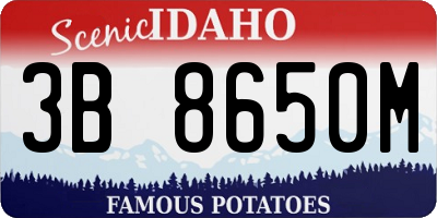 ID license plate 3B8650M