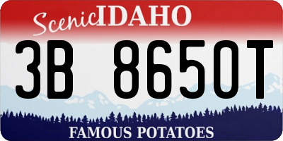 ID license plate 3B8650T