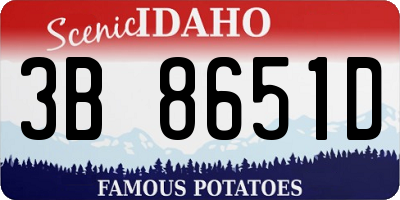 ID license plate 3B8651D