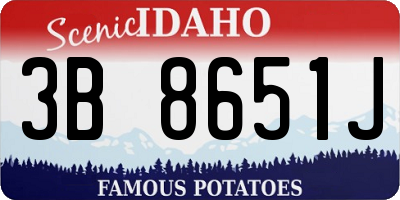 ID license plate 3B8651J