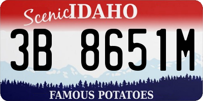ID license plate 3B8651M