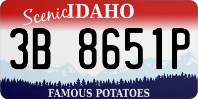 ID license plate 3B8651P