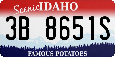ID license plate 3B8651S