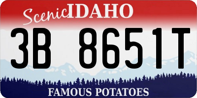 ID license plate 3B8651T