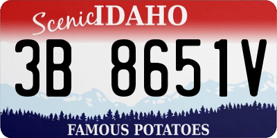 ID license plate 3B8651V