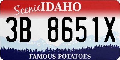 ID license plate 3B8651X