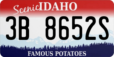 ID license plate 3B8652S