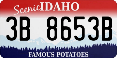 ID license plate 3B8653B