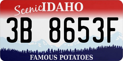 ID license plate 3B8653F