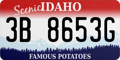 ID license plate 3B8653G