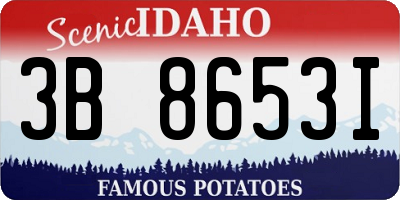 ID license plate 3B8653I