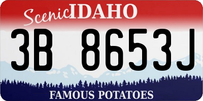ID license plate 3B8653J