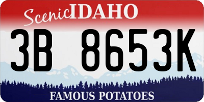 ID license plate 3B8653K