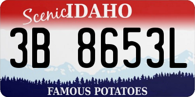 ID license plate 3B8653L