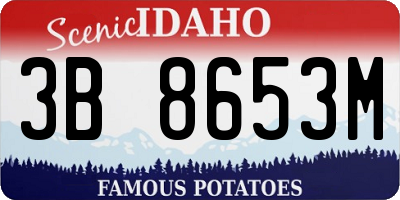 ID license plate 3B8653M