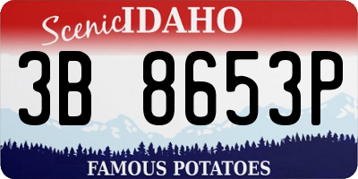 ID license plate 3B8653P