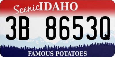 ID license plate 3B8653Q