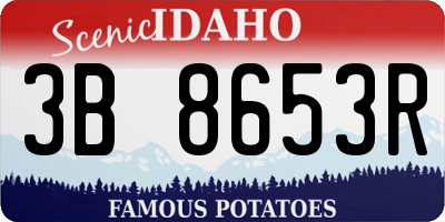 ID license plate 3B8653R