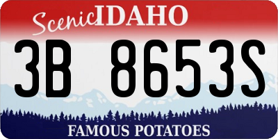 ID license plate 3B8653S