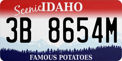 ID license plate 3B8654M