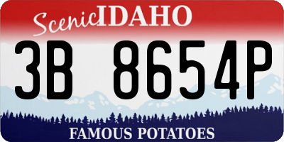 ID license plate 3B8654P