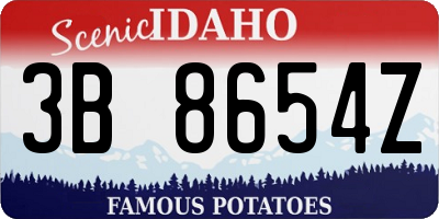 ID license plate 3B8654Z