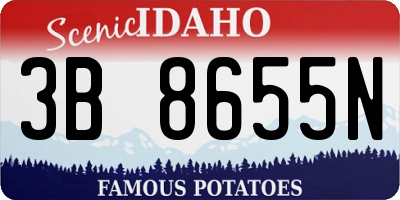 ID license plate 3B8655N
