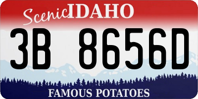 ID license plate 3B8656D