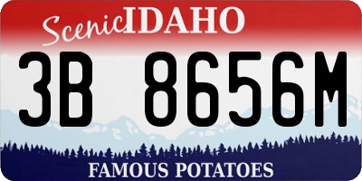 ID license plate 3B8656M