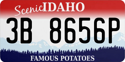 ID license plate 3B8656P