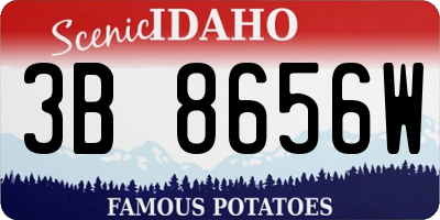 ID license plate 3B8656W