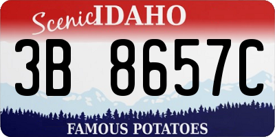 ID license plate 3B8657C